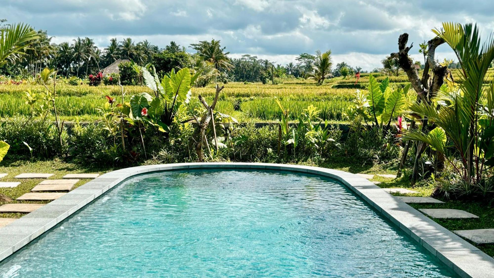 Jagadhita Villas Ubud Dış mekan fotoğraf
